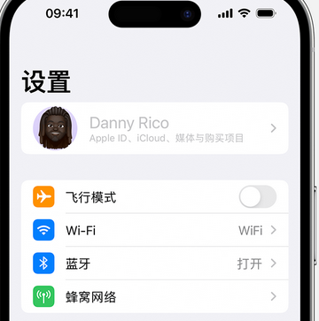 贵池appleID维修服务iPhone设置中Apple ID显示为灰色无法使用 