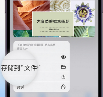 贵池apple维修中心分享iPhone文件应用中存储和找到下载文件