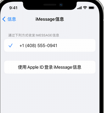 贵池apple维修iPhone上无法正常发送iMessage信息 