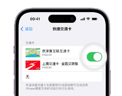 贵池apple维修点分享iPhone上更换Apple Pay快捷交通卡手绘卡面 