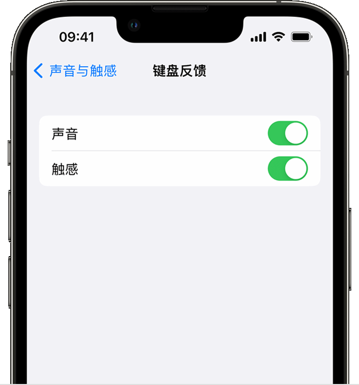 贵池苹果14维修店分享如何在 iPhone 14 机型中使用触感键盘 