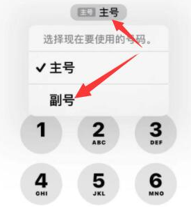 贵池苹果14维修店分享iPhone 14 Pro Max使用副卡打电话的方法 