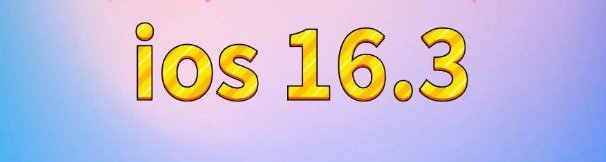 贵池苹果服务网点分享苹果iOS16.3升级反馈汇总 