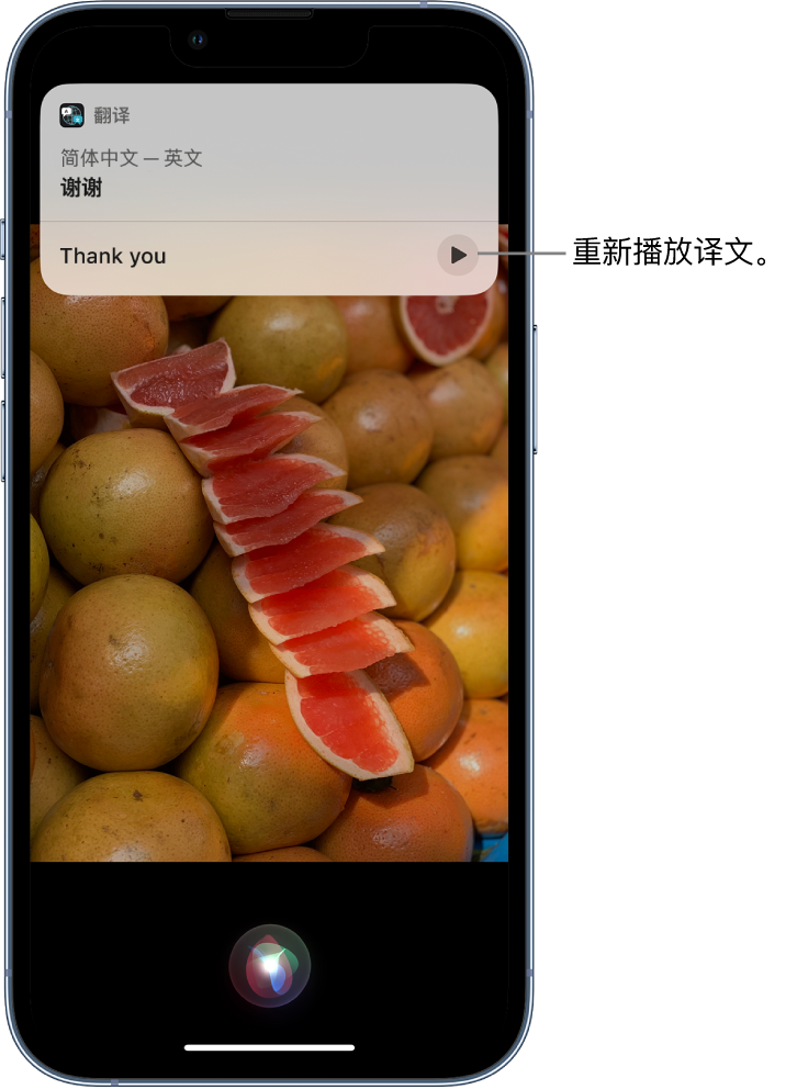 贵池苹果14维修分享 iPhone 14 机型中使用 Siri：了解 Siri 能帮你做什么 