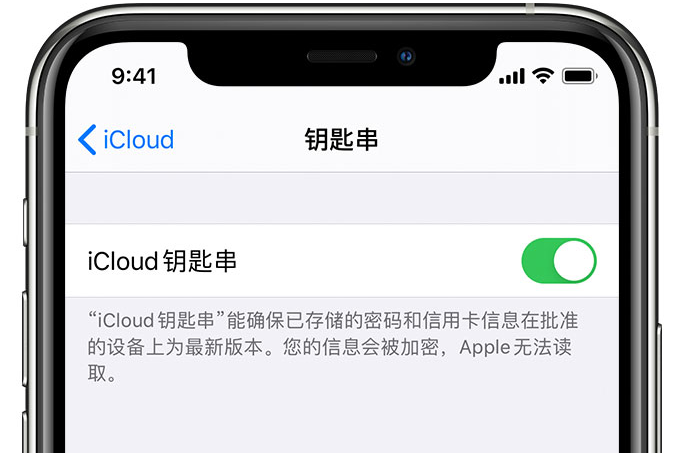 贵池苹果手机维修分享在 iPhone 上开启 iCloud 钥匙串之后会储存哪些信息 