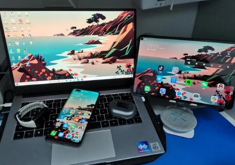 贵池苹果手机维修分享为什么iPad屏幕更大价格却比iPhone低 
