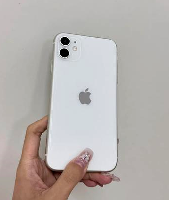 贵池苹果维修点分享iPhone 11黑屏特殊场景解析 